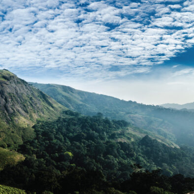 ark hotel palakkad